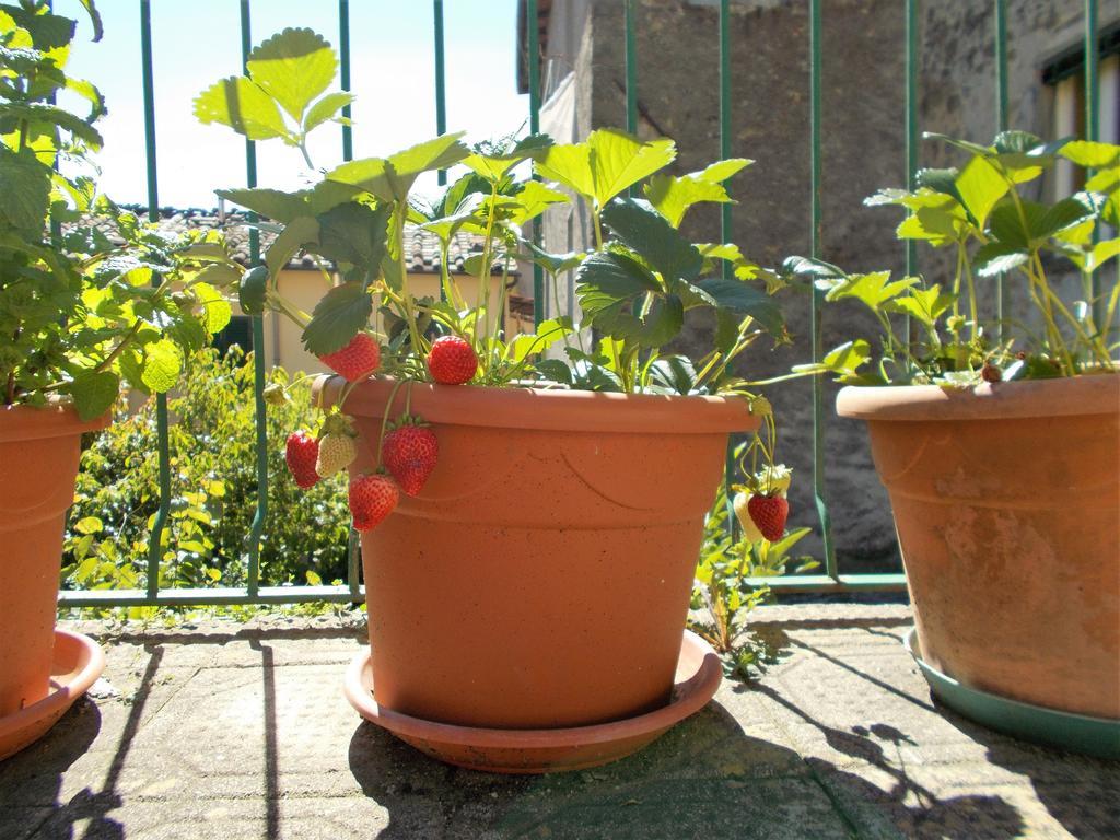 Casa Ginevra Villa Bagni di Lucca Eksteriør bilde